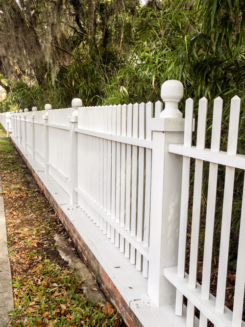 Shadows on the Teche